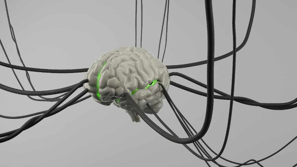 QEEG and TOVA Neural Data Mapping